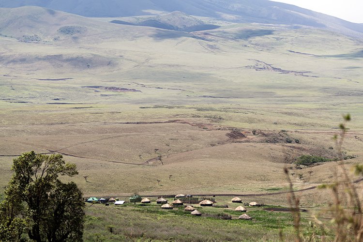 TZA ARU Ngorongoro 2016DEC23 024